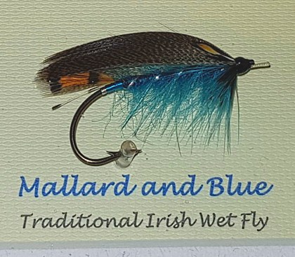 Mallard and Blue Traditiona Irish Wet Fly w drewnianej ramce